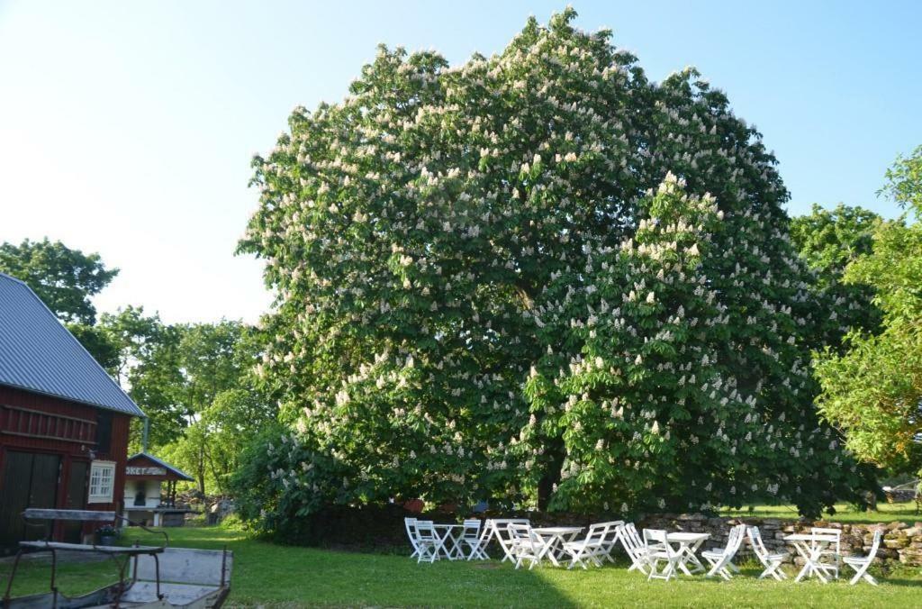 Rosenborgs Friluftspensionat Färjestaden Eksteriør billede